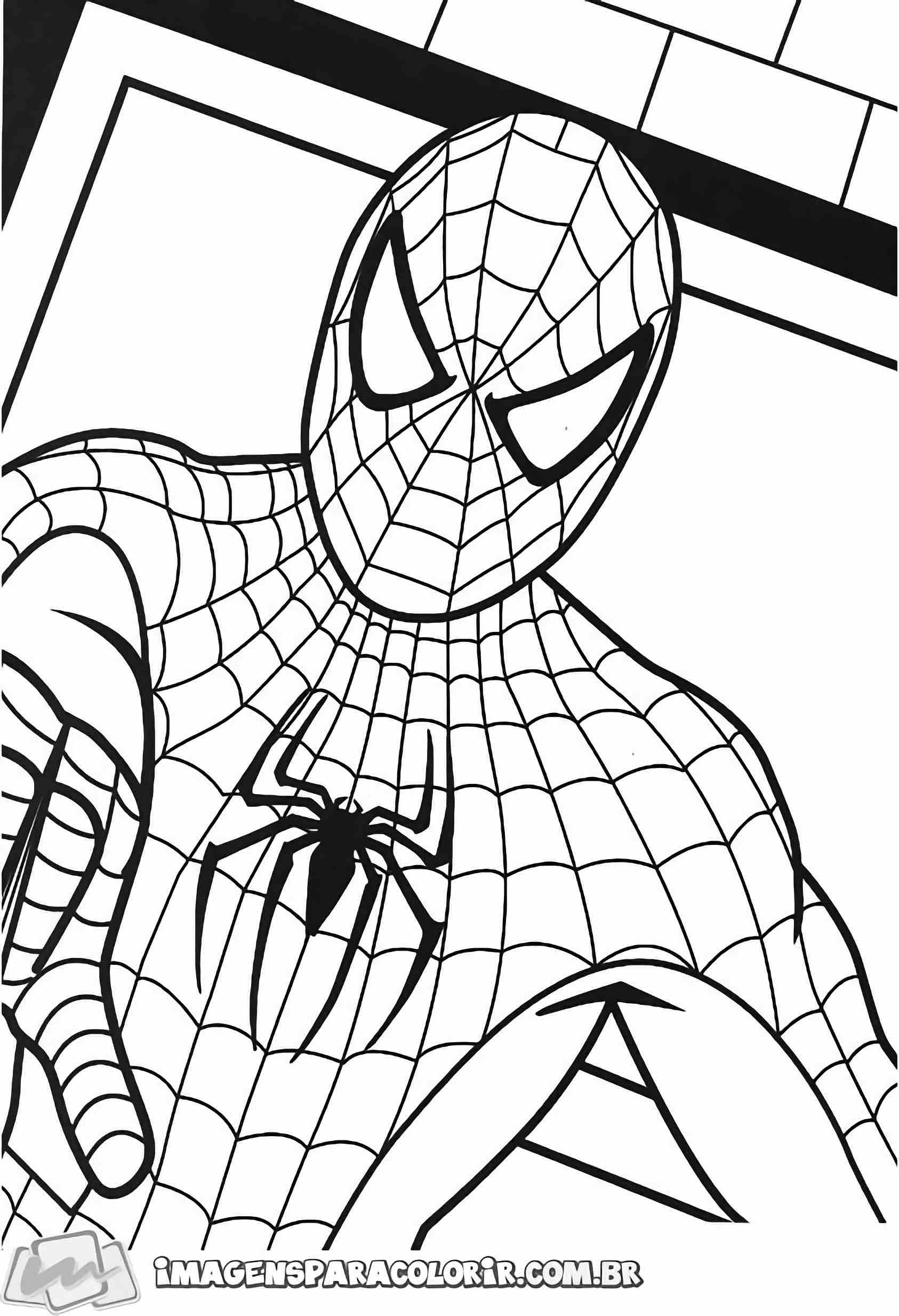 Homem aranha spider man desenho para colorir artes gráficas png