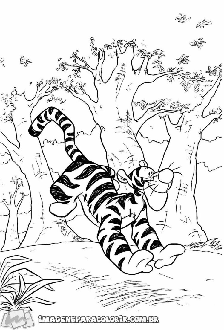 tigrao-35